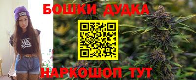 сатива Шахты