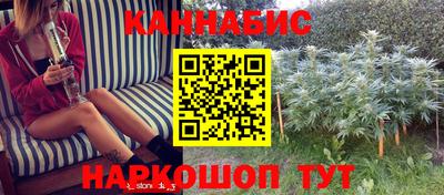 сатива Шахты