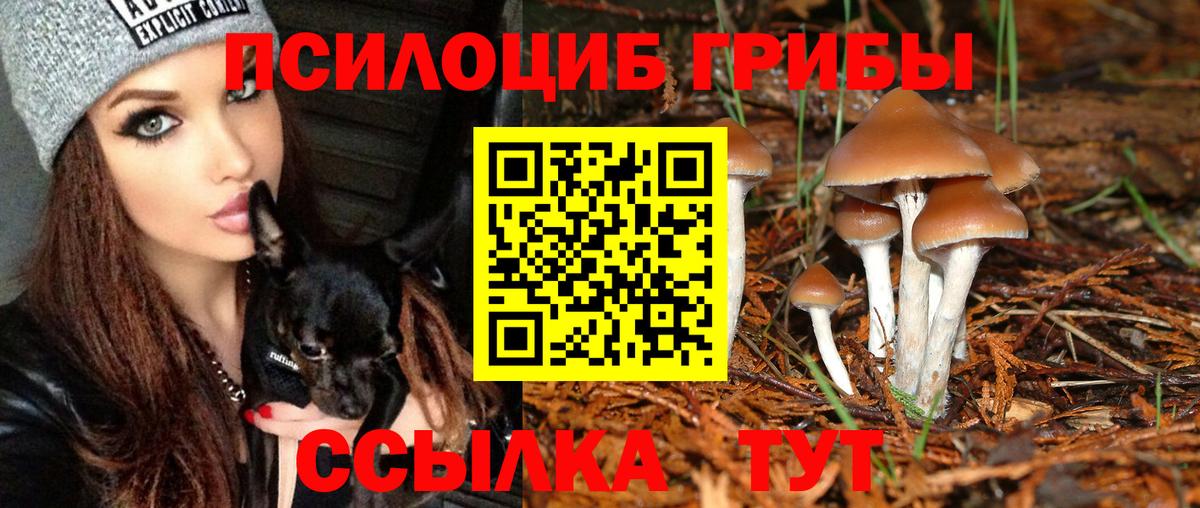 Псилоцибиновые грибы прущие грибы  Вход с VPN  Борзя 